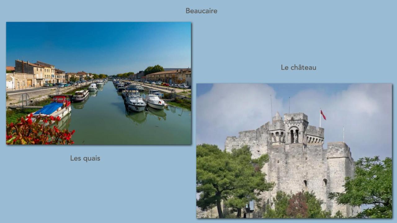 Cocoon 4 /quais/cite Medievale/nature Appartement Beaucaire (Gard)