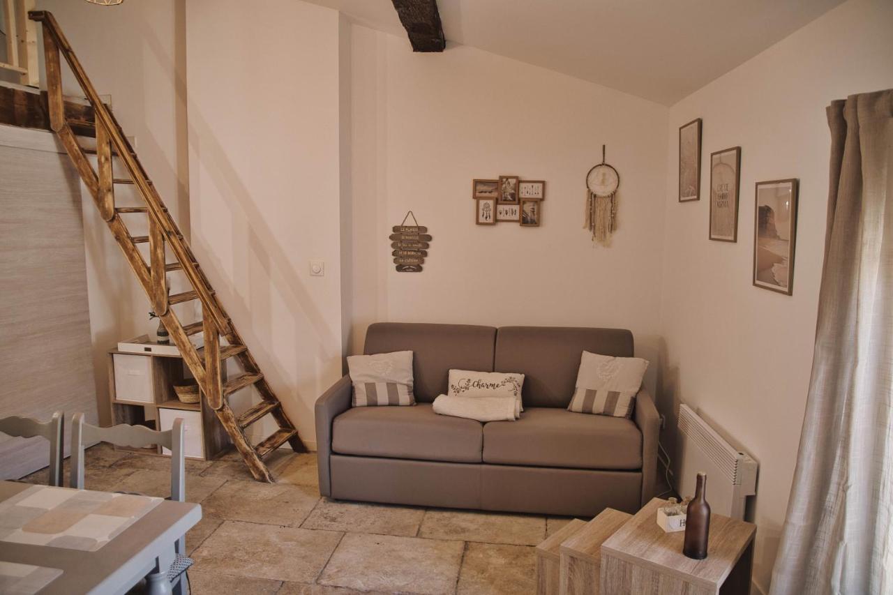 Appartement Cocoon 4 /quais/cite Medievale/nature *
